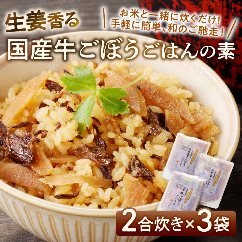 【ふるさと納税】福岡の老舗が作る 生姜香る国産牛ごぼうごはんの素【A-834】 サムネイル2