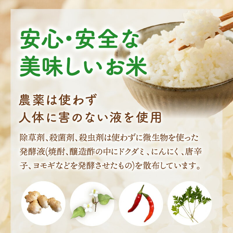 【ふるさと納税】＼内容量が選べる／【令和7年産】農薬・化学肥料不使用 真ちゃん米 5kg 15kg 20kg - 画像3