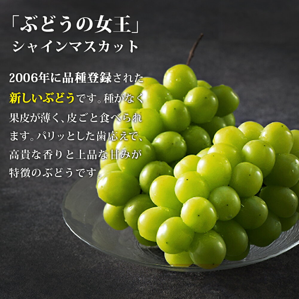 【ふるさと納税】シャインマスカット4-6房(約2kg)＜2026年8月中旬から発送開始分先行予約＞【B6-028】 サムネイル2