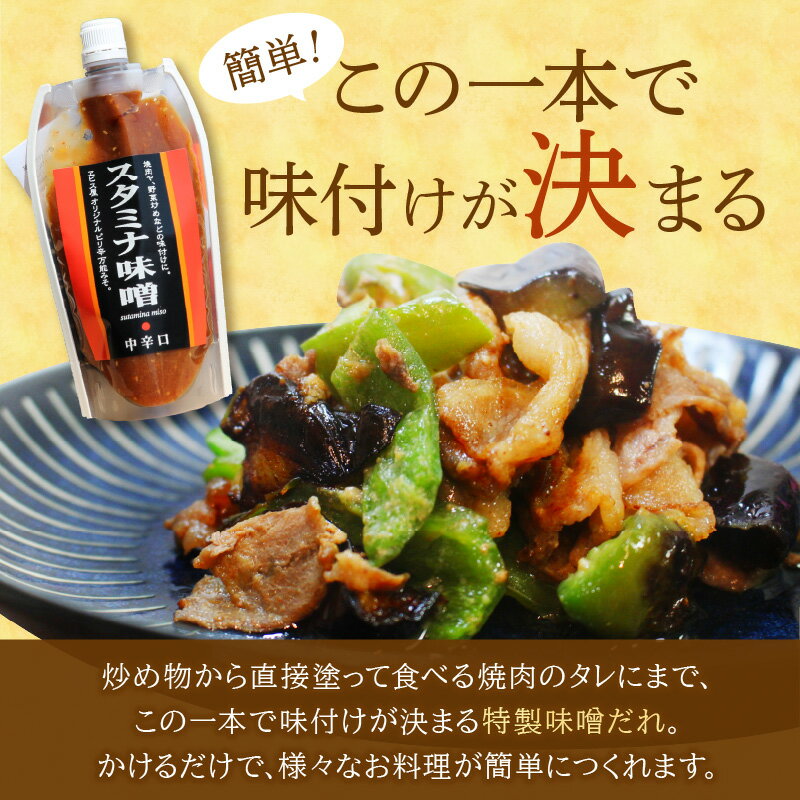 【ふるさと納税】味付け簡単！特製味噌ダレ「スタミナ味噌」【6カ月定期便】 調味料 味噌 みそ タレ たれ 味噌だれ 定期便 6回 スタミナ 焼肉のタレ 野菜炒め 回鍋肉 ホルモン にんにく 飯塚市 【A5-246】 サムネイル2