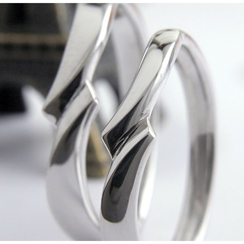 【ふるさと納税】結婚指輪 ペアリング ロビン【R39-001】 サムネイル2