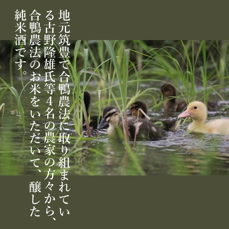 【ふるさと納税】【創業150年】瑞穂菊酒造 純米酒セット 720ml×2本 お酒 酒 アルコール 日本酒 純米酒 セット 720ml 【B3-015】 サムネイル2