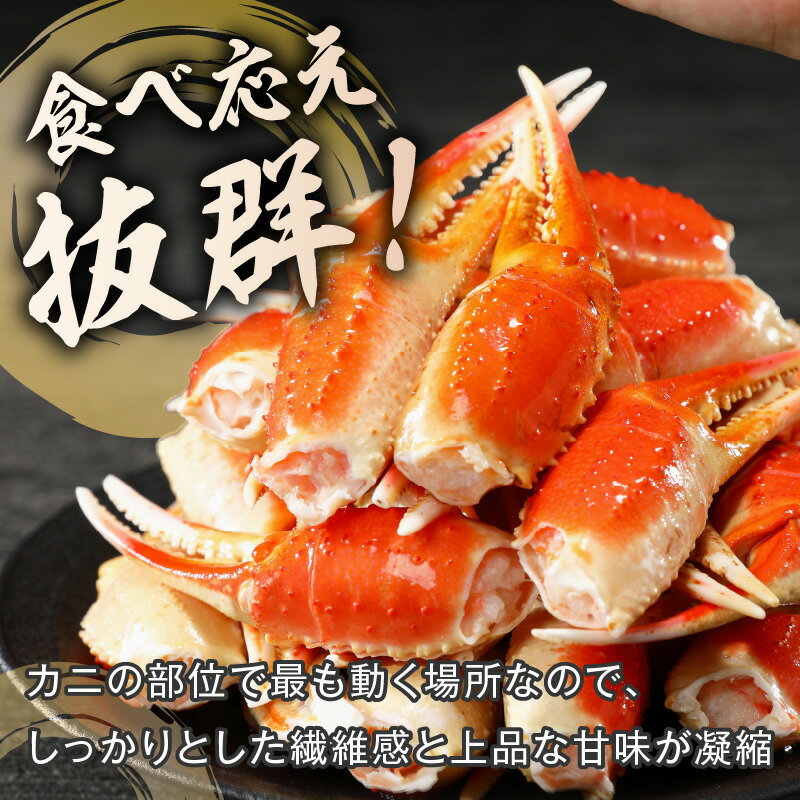 【ふるさと納税】ずわいがに爪(約1kg) 蟹の爪 カニ かに カニの爪 カニ爪 かに爪 蟹爪 ボイル蟹 ずわいがに ズワイ蟹 蟹 贅沢 ボイルかに ボイルカニ ズワイガニ グルメ 正月 お祝い【B3-060】 サムネイル3