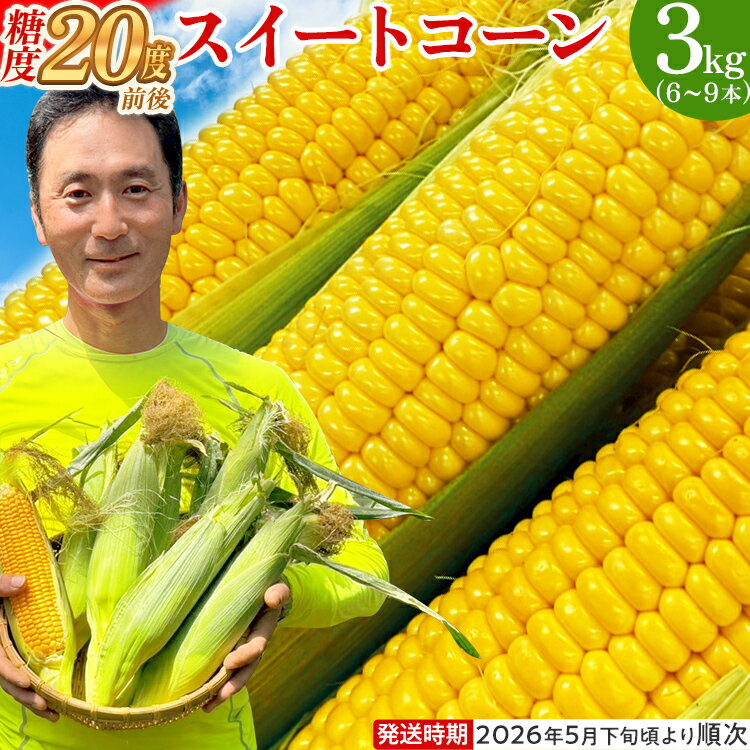 とうもろこし スイートコーン 3kg（6~9本）野菜 コーン スーパースイートコーン 採れたて 糖度20度 【2026年5月下旬頃より順次発送予定】