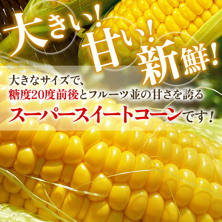 【ふるさと納税】とうもろこし スイートコーン 3kg（6~9本）野菜 コーン スーパースイートコーン 採れたて 糖度20度 【2026年5月下旬頃より順次発送予定】 - 画像2
