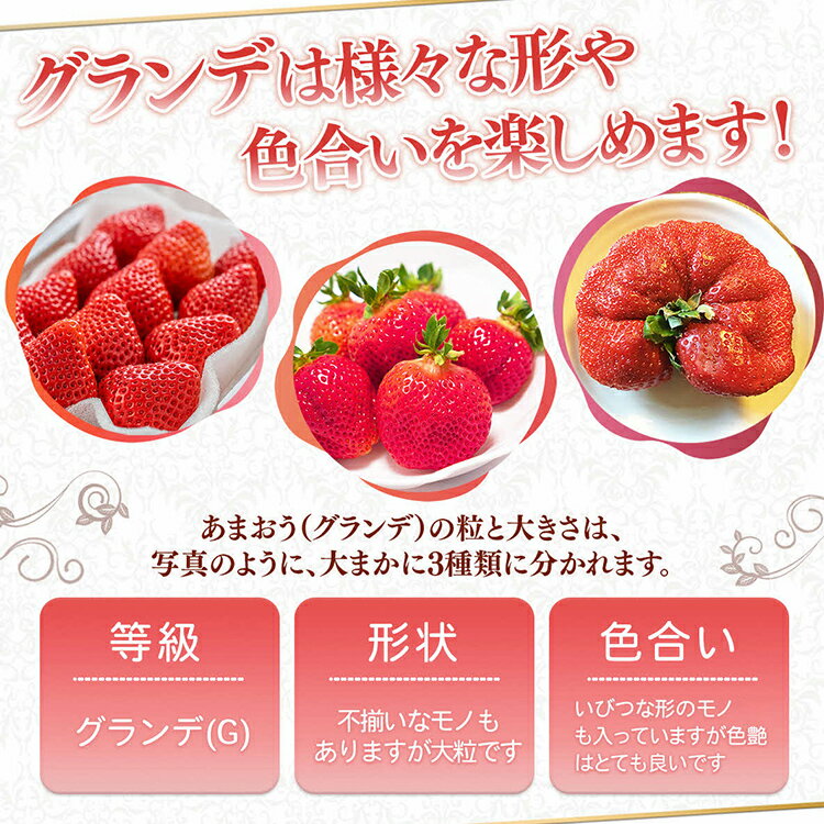 【ふるさと納税】量が選べる 福岡県産 あまおう 500g〜1.5kg（2〜6パック） 12月 1月 発送 いちご 苺 フルーツ 果物 くだもの 大粒Gサイズ グランデ 農家直送 大粒 不揃い 福岡県 福岡 九州 グルメ お取り寄せ サムネイル2