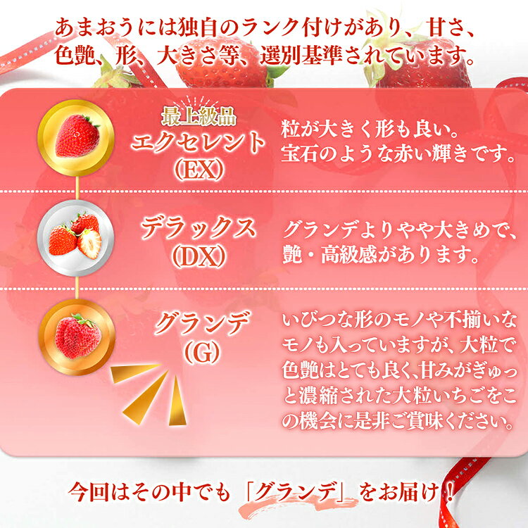 【ふるさと納税】量が選べる 福岡県産 あまおう 500g〜1.5kg（2〜6パック） 12月 1月 発送 いちご 苺 フルーツ 果物 くだもの 大粒Gサイズ グランデ 農家直送 大粒 不揃い 福岡県 福岡 九州 グルメ お取り寄せ サムネイル3