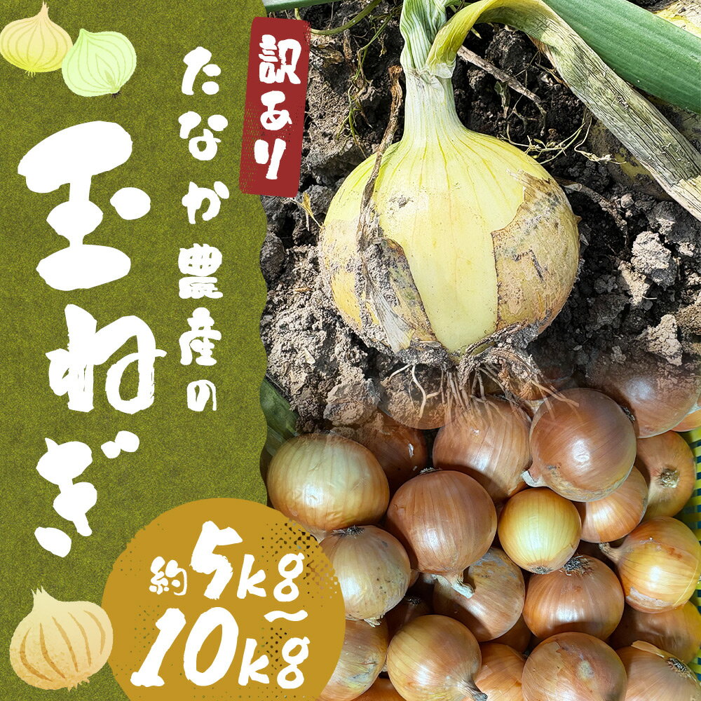 【ふるさと納税】＜選べる内容量＞【先行予約】【訳あり】たなか農産の柳川産玉ねぎ 約5kg・約10kg 玉葱 タマネギ たまねぎ 野菜 福岡県産 国産 福岡県 柳川市 送料無料 【2026年6月下旬～8月上旬迄順次発送予定】 - 画像2