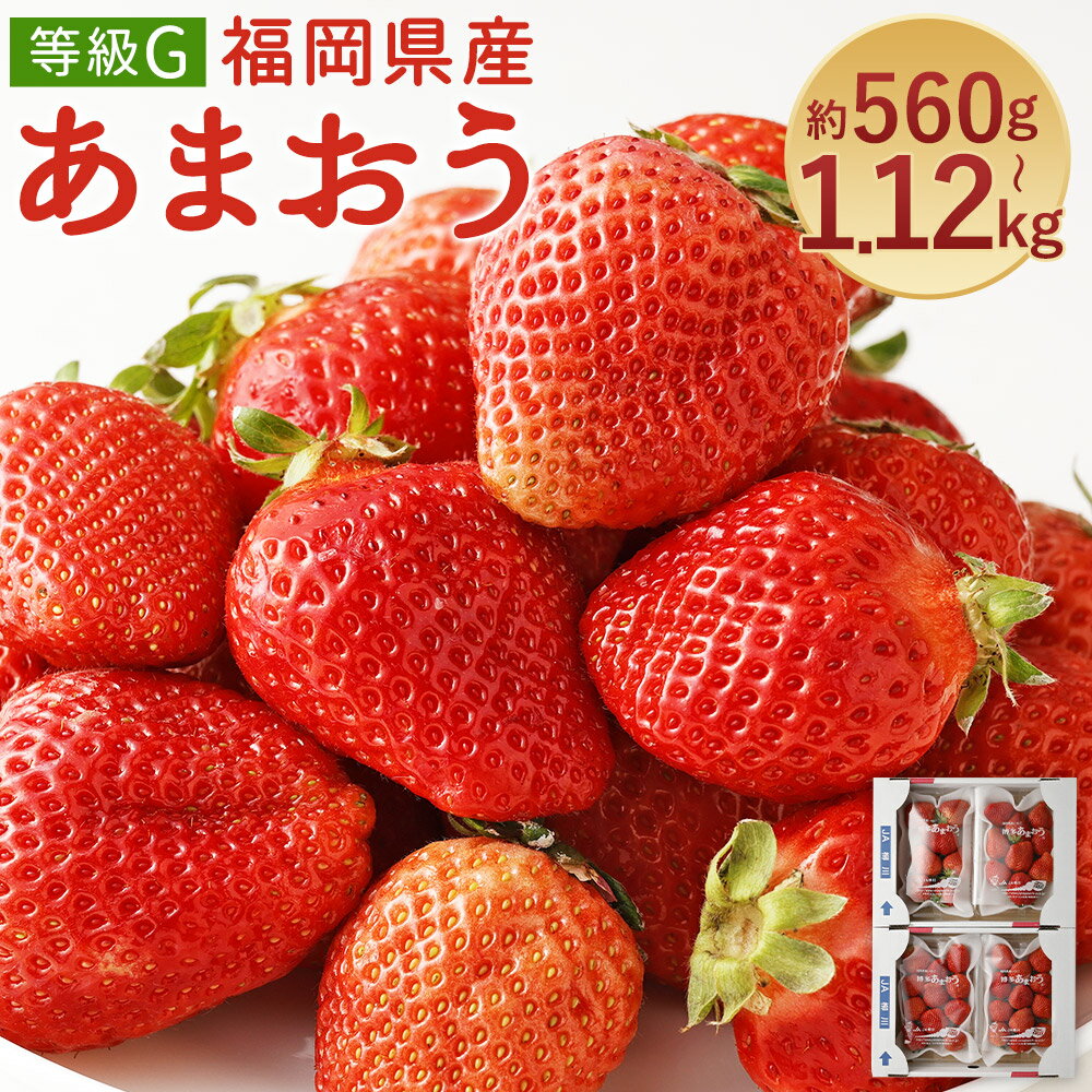 あまおう 等級G 約560g(2パック)/約1.12kg(4パック) 選べる内容量 1パック約280g 先行受付 事前予約 いちご 苺 フルーツ 果物 福岡県産 冷蔵 送料無料【2026年2月上旬～3月下旬に順次発送予定】