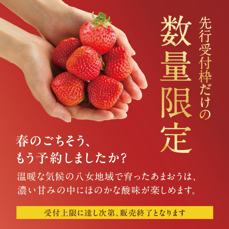 【ふるさと納税】【アフター保証】福岡県八女市産 博多あまおう 期間限定 数量限定 大粒苺 甘くてジューシーな高級いちご 産地直送 冬ギフト 【選べる内容量】約540g〜約2700g｜JAふくおか八女 あまおう いちご 苺 イチゴ 数量・期間限定 産地直送 グランデ 福岡県 八女市 サムネイル3