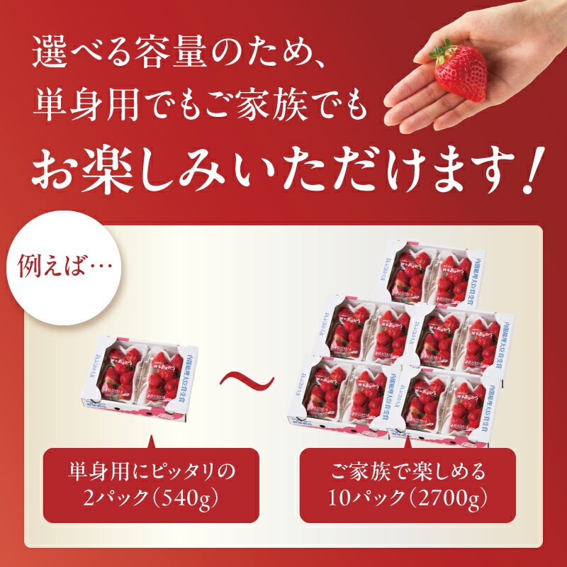 【ふるさと納税】【アフター保証】福岡県八女市産 博多あまおう 期間限定 数量限定 大粒苺 甘くてジューシーな高級いちご 産地直送 冬ギフト 【選べる内容量】約540g〜約2700g｜JAふくおか八女 あまおう いちご 苺 イチゴ 数量・期間限定 産地直送 グランデ 福岡県 八女市 サムネイル2