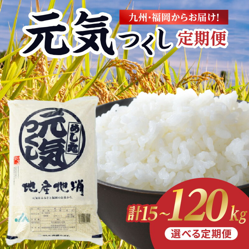 【特A獲得 4年連続 米の食味ランキング】九州・福岡からお届け！ブランド米「元気つくし」 選べる内容量(5kg.10kg) 定期便(3回、6回、10回、12回) お米 米 白米 元気つくし 特A 福岡県 八女市