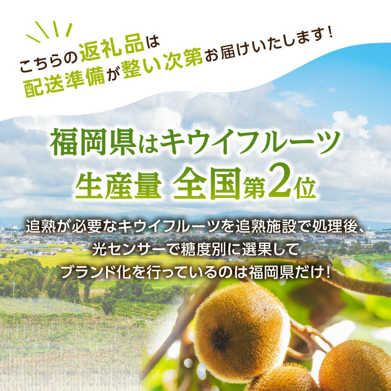 【ふるさと納税】【先行予約 2025年12月発送開始】博多甘熟娘（うれっこ）キウイ約3.6kg｜JAふくおか八女 キウイフルーツ 福岡 高糖度 先行予約 グリーンキウイ ヘイワード種 期間限定 数量限定 デザート サムネイル2