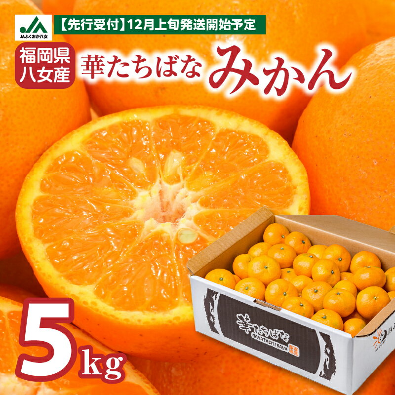 【先行予約 2025年12月発送開始】華たちばなみかん 約5kg 蜜柑 ミカン 秀品 福岡 果物 フルーツ 先行予約 家庭用 自宅用 送料無料 数量限定 期間限定