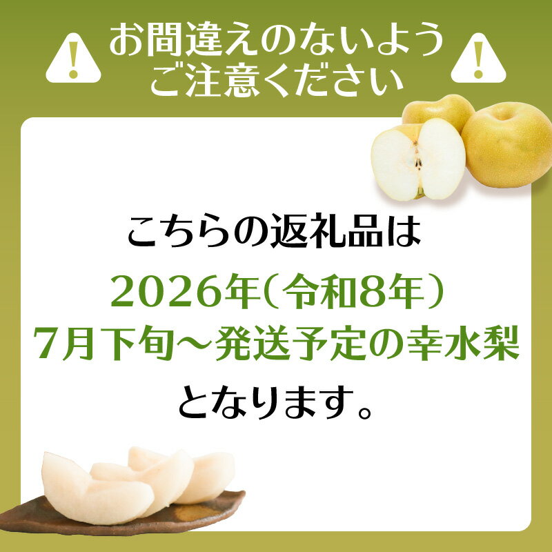 【ふるさと納税】【先行受付】福岡・八女の幸水梨 (5kg) 【JAふくおか八女】2026年7月下旬〜発送予定 | 梨 幸水 梨 幸水 5kg - 画像3