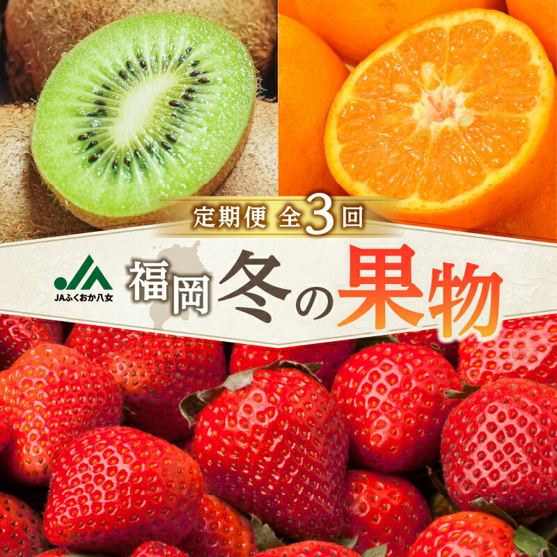 福岡冬の果物定期便【全3回】冬のお届け便　JAふくおか八女からお届け！！ みかん ミカン キウイ あまおう いちご 苺 イチゴ フルーツ 果物 くだもの 人気 旬 福岡県産 アフター補償 数量限定 期間限定 産地直送 全3回 定期便 福岡県 八女市