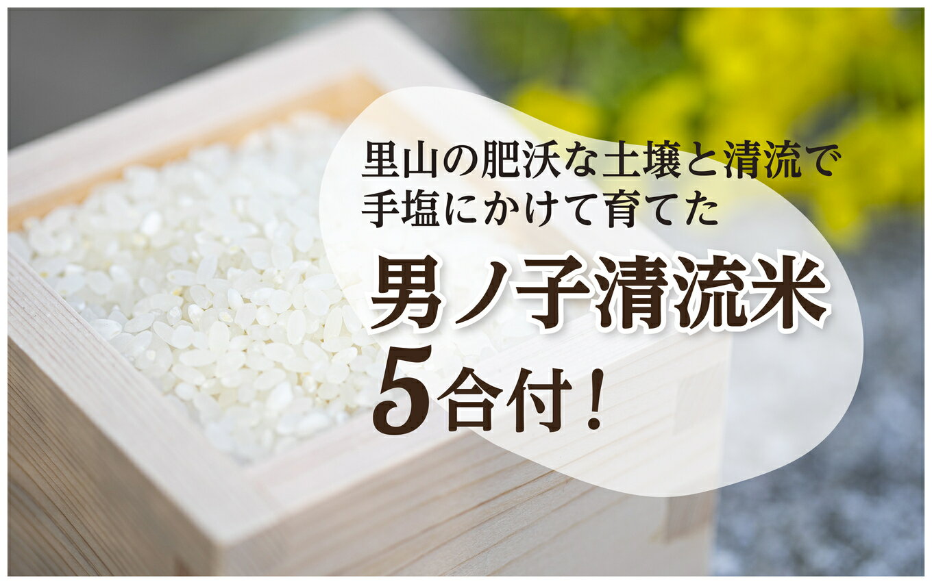 【ふるさと納税】《レビューキャンペーン》【1日1組一棟貸切】男ノ子焼の里 夕食BBQ食材付宿泊券（4名様）【メール便】 キャンプ 宿泊 ゲストハウス 1棟貸し 宿泊券 4名様 BBQ バーベキュー 食材付き お米付き 1日1組 限定 旅行 自然 アウトドア 子供 子連れ 福岡県 八女市 サムネイル3
