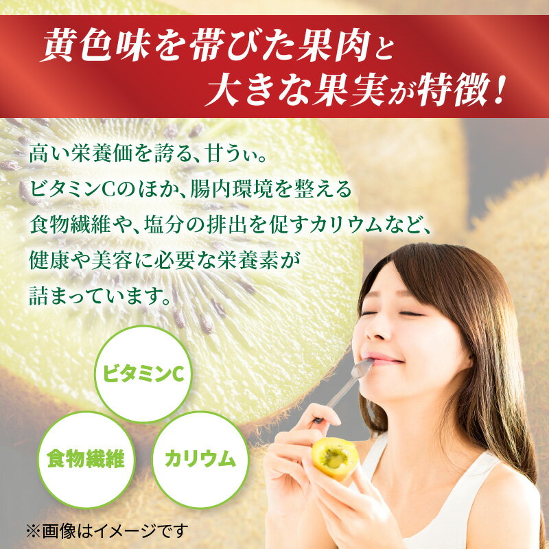 【ふるさと納税】【福岡限定品種】キウイ「甘うぃ」約1.3kg〜約3.0kg【選べる内容量】【先行受付：2025年11月頃発送開始】＜配送不可：北海道・沖縄・離島＞ 先行受付 キウイ キウイフルーツ フルーツ 果物 くだもの 甘い 高糖度 希少 オリジナル品種 新品種 新ブランド サムネイル2