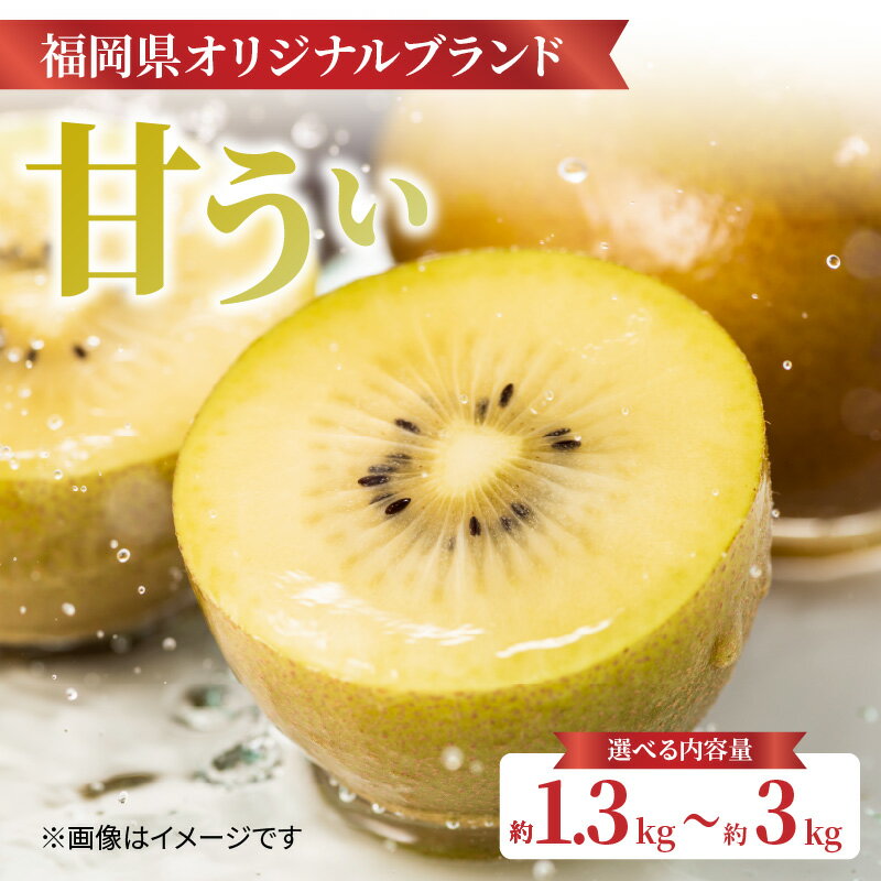 【福岡限定品種】キウイ「甘うぃ」約1.3kg〜約3.0kg【選べる内容量】【先行受付：2025年11月頃発送開始】＜配送不可：北海道・沖縄・離島＞ 先行受付 キウイ キウイフルーツ フルーツ 果物 くだもの 甘い 高糖度 希少 オリジナル品種 新品種 新ブランド