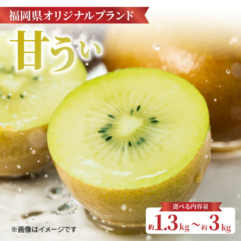 【先行受付：2026年11月頃発送開始】福岡限定品種キウイ「甘うぃ」約3kg＜配送不可：北海道・沖縄・離島＞ 先行受付 キウイ キウイフルーツ フルーツ 果物 くだもの 甘い 高糖度 希少 オリジナル品種 新品種 新ブランド