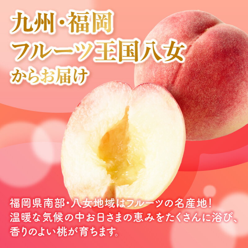 【ふるさと納税】【2026年5月下旬〜6月発送】九州・福岡フルーツ王国八女から直送！桃 8玉入り＜配送不可：北海道・沖縄・離島＞ 県 八桃 もも モモ フルーツ くだもの 果物 産地直送 ジューシー 家庭用 自宅用 家族団らん デザート スイーツ作り 福岡女市 サムネイル2