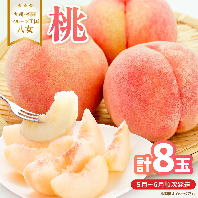 【2026年5月下旬〜6月発送】九州・福岡フルーツ王国八女から直送！桃 8玉入り＜配送不可：北海道・沖縄・離島＞ 県 八桃 もも モモ フルーツ くだもの 果物 産地直送 ジューシー 家庭用 自宅用 家族団らん デザート スイーツ作り 福岡女市