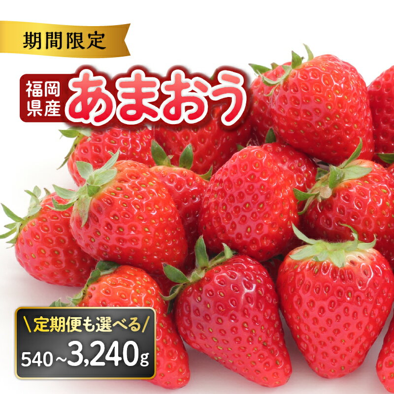 ≪先着200名様限定≫ レビューキャンペーン開催中！ 福岡県産あまおう【2026年2〜3月発送開始】【アフター保証】【選べる内容量】（ 270g×2パック・270g×4パック・全3回定期便）あまおう いちご あまおう あまおう苺 いちご イチゴ 苺