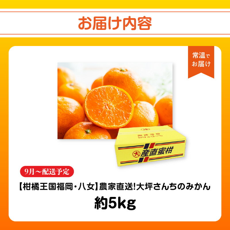 【ふるさと納税】【9月上旬～2月下旬配送予定】【柑橘王国福岡・八女】農家直送！大坪さんちのみかん みかん 立花町 大坪農園 農産直売所 安心安全 肥料配合 福岡県 八女 サムネイル2