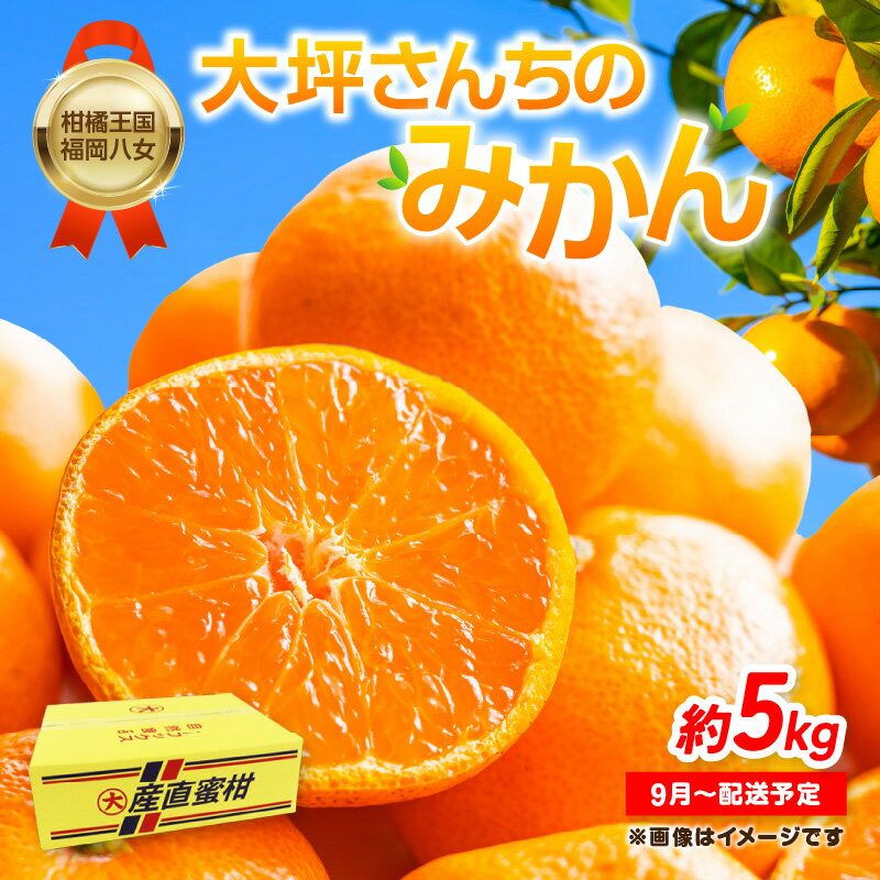 【9月上旬～2月下旬配送予定】【柑橘王国福岡・八女】農家直送！大坪さんちのみかん みかん 立花町 大坪農園 農産直売所 安心安全 肥料配合 福岡県 八女