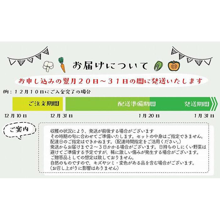【ふるさと納税】【福岡八女・奥八女】里山の恵み　お野菜＆手仕込みセット＜配送不可：北海道・沖縄・離島＞ 野菜 やさい ご飯のおとも 田舎の味 - 画像3