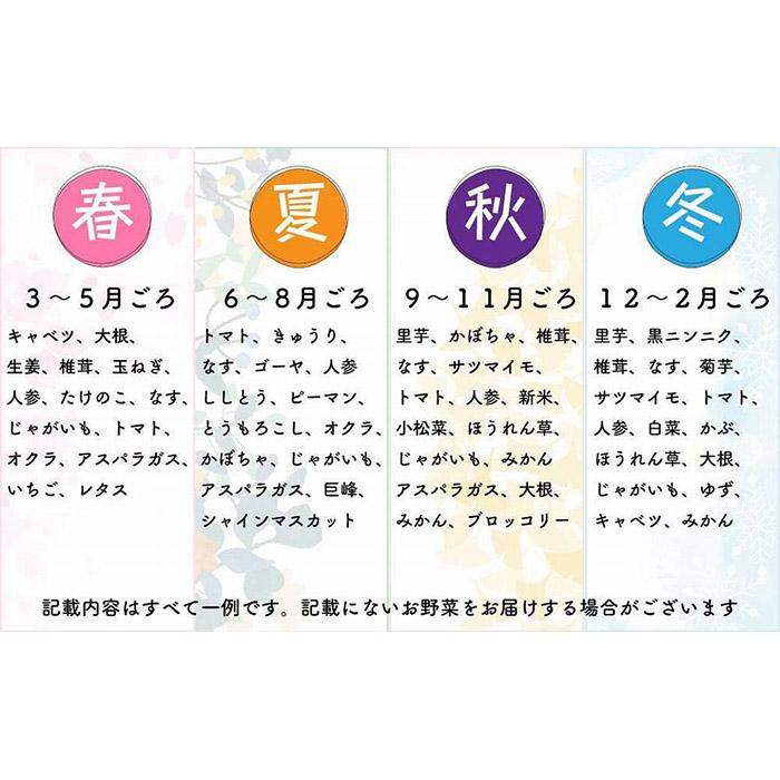 【ふるさと納税】【福岡八女・奥八女】里山の恵み　お野菜＆手仕込みセット定期便【全3回】※配送不可：北海道と離島（沖縄本島を含む） 旬の野菜 手作り 田舎の味 ご飯のお供 - 画像2