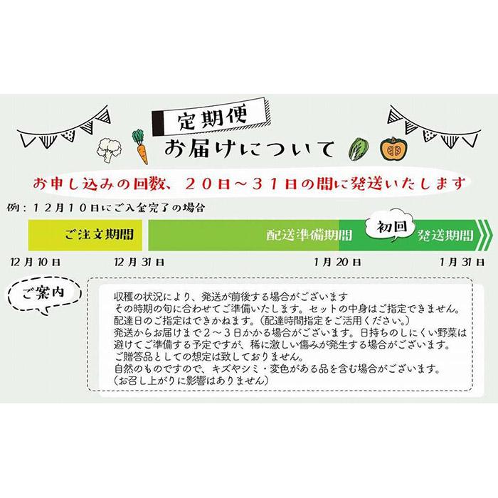 【ふるさと納税】【福岡八女・奥八女】里山の恵み　お野菜＆手仕込みセット定期便【全3回】※配送不可：北海道と離島（沖縄本島を含む） 旬の野菜 手作り 田舎の味 ご飯のお供 - 画像3
