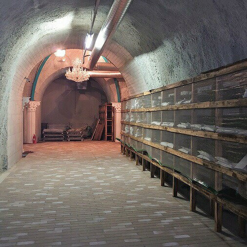 【ふるさと納税】覚（キウイワイン5年熟成）木箱入り フルーツワイン 辛口 まろやか 上品 ギフト プレゼント 父の日 母の日 勤労感謝の日 誕生日 お祝い サムネイル2