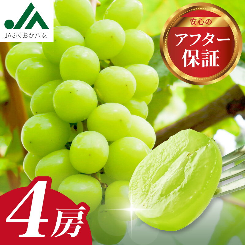 【先行受付】シャインマスカット 贅沢たっぷり 4房 1.4kg 糖度18度以上 350g×4パック 【JAふくおか八女】ぶどう 葡萄 フルーツ 種なし 皮ごと食べられる 甘い 産地直送 品質保証 数量限定 旬 福岡 八女 9月上旬〜発送予定