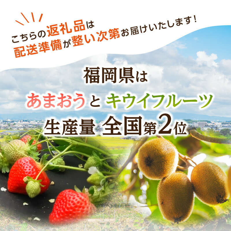 【ふるさと納税】博多あまおう約700g＆博多甘熟娘キウイ約1.8kgセット(化粧箱)【2026年1月発送開始】 いちご 苺 イチゴ キウイフルーツ 果物 くだもの フルーツ セット アフター補償 ギフト 化粧箱入り 贈答品 プレゼント 贈り物 数量限定 期間限定 産地直送 福岡県 八女市 サムネイル2