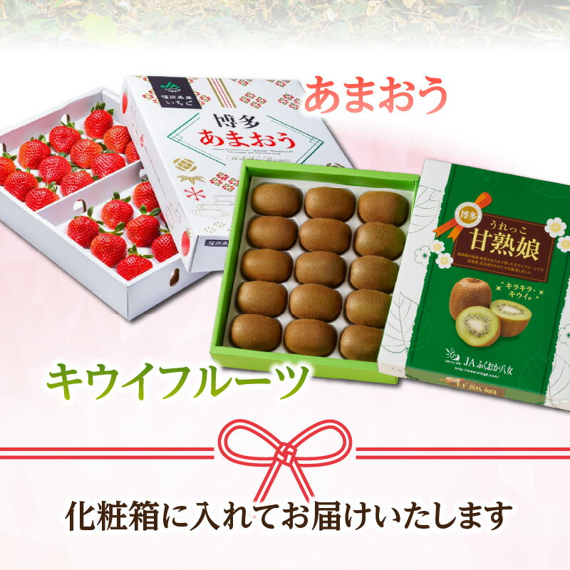 【ふるさと納税】博多あまおう約700g＆博多甘熟娘キウイ約1.8kgセット(化粧箱)【2026年1月発送開始】 いちご 苺 イチゴ キウイフルーツ 果物 くだもの フルーツ セット アフター補償 ギフト 化粧箱入り 贈答品 プレゼント 贈り物 数量限定 期間限定 産地直送 福岡県 八女市 サムネイル3