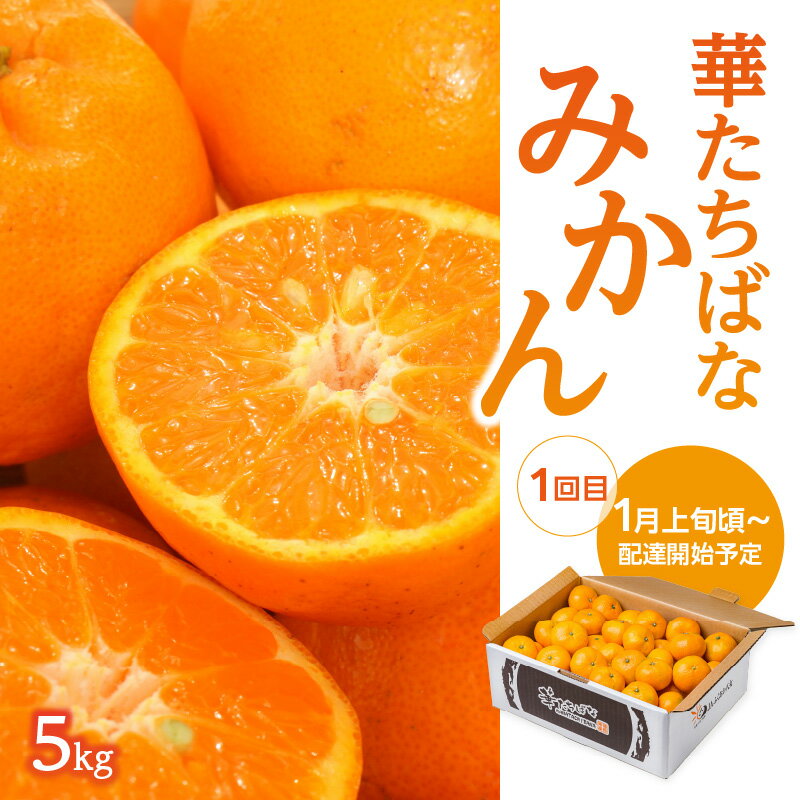 【ふるさと納税】福岡冬の果物定期便【全3回】冬のお届け便　JAふくおか八女からお届け！！ みかん ミカン キウイ あまおう いちご 苺 イチゴ フルーツ 果物 くだもの 人気 旬 福岡県産 アフター補償 数量限定 期間限定 産地直送 全3回 定期便 福岡県 八女市 サムネイル2