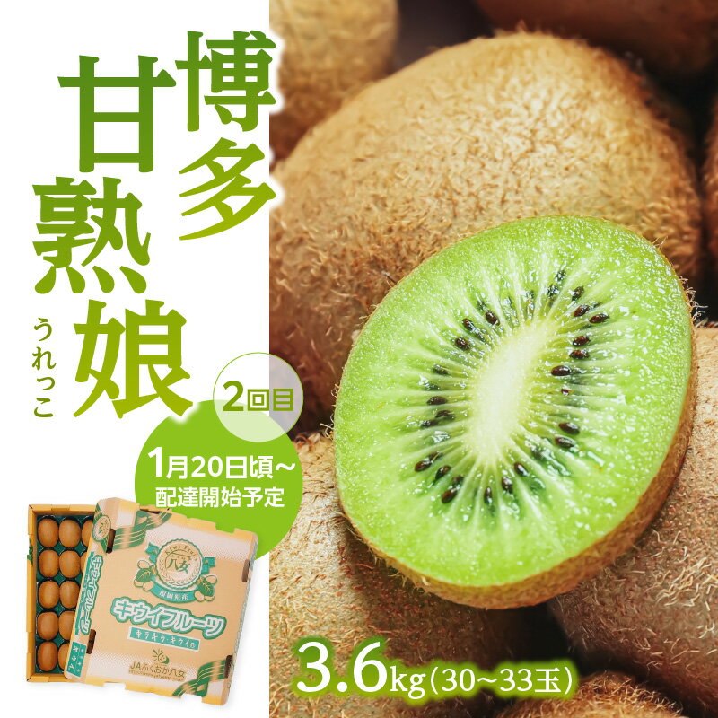 【ふるさと納税】福岡冬の果物定期便【全3回】冬のお届け便　JAふくおか八女からお届け！！ みかん ミカン キウイ あまおう いちご 苺 イチゴ フルーツ 果物 くだもの 人気 旬 福岡県産 アフター補償 数量限定 期間限定 産地直送 全3回 定期便 福岡県 八女市 サムネイル3