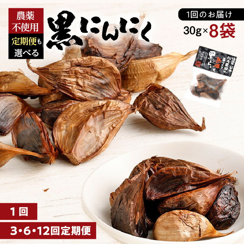 【単品 定期便 選べる】＜農薬不使用＞八女八片黒にんにく（30g×8袋） ニンニク 無添加 長時間熟成 甘い 健康食品