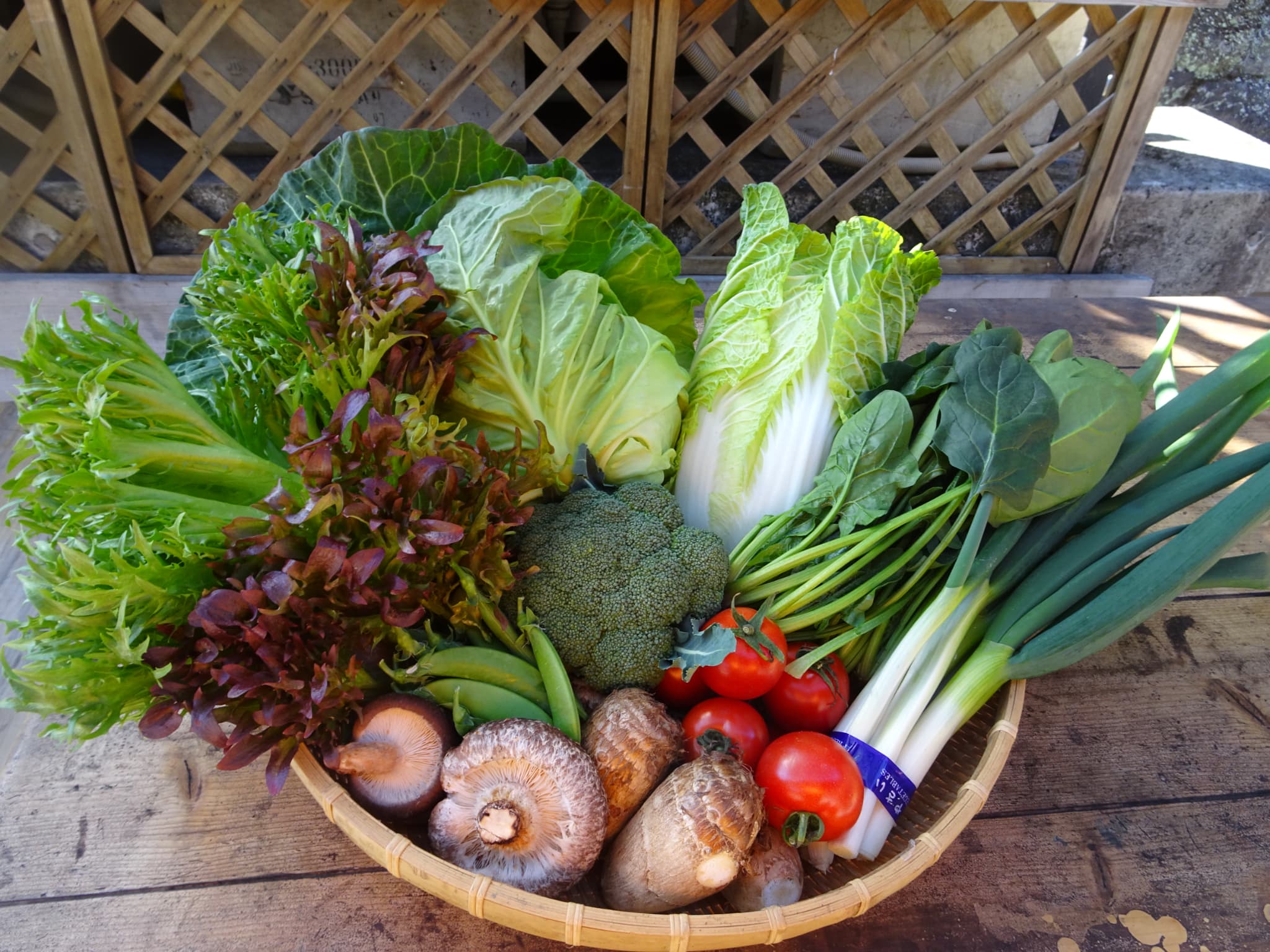 【ふるさと納税】＜道の駅たちばなオリジナル＞季節の野菜・果物セット 種類 お任せ 旬 野菜 果物 詰め合わせ - 画像2