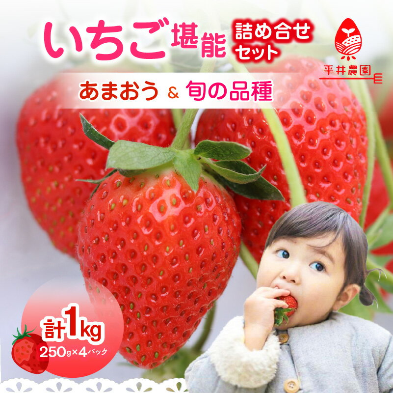 いちご堪能詰め合わせセット 250g×4パック（合計1kg）｜2026年2月〜順次発送＜ひらい観光農園＞ あまおう いちご 苺 イチゴ フルーツ 果物 くだもの 人気 旬 福岡県産 食べ比べ 採れたて セット 冷蔵配送 数量限定 期間限定 産地直送 福岡県 八女市