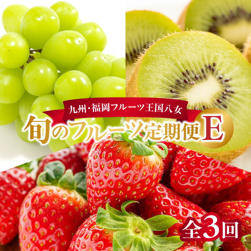 九州・福岡フルーツ王国八女　お楽しみ旬のフルーツ定期便【全3回】 E＜配送不可：北海道・沖縄・離島＞ あまおう いちご 苺 イチゴ キウイ シャインマスカット フルーツ 果物 くだもの 人気 旬 福岡県産 アフター補償 産地直送 福岡県 八女市