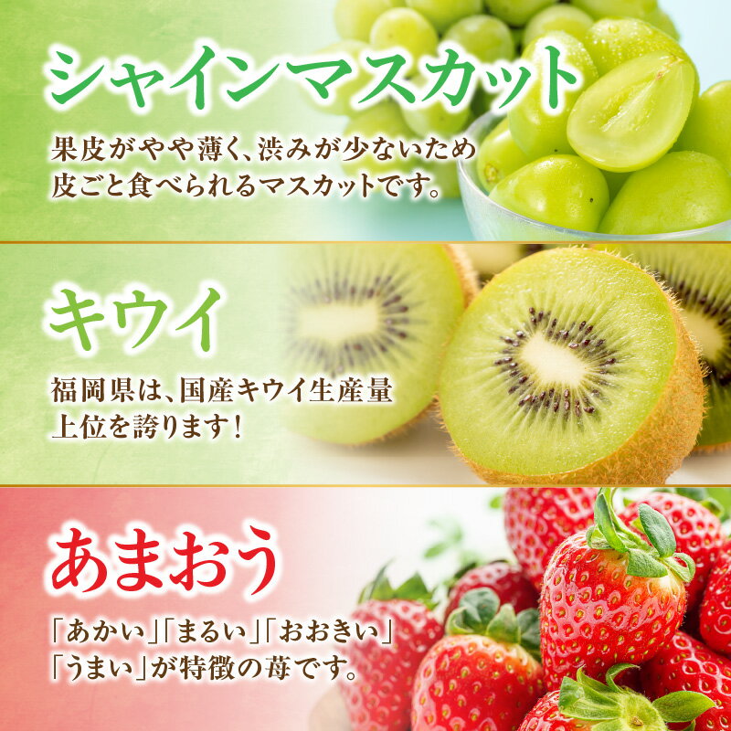 【ふるさと納税】九州・福岡フルーツ王国八女　お楽しみ旬のフルーツ定期便【全3回】 E＜配送不可：北海道・沖縄・離島＞ あまおう いちご 苺 イチゴ キウイ シャインマスカット フルーツ 果物 くだもの 人気 旬 福岡県産 アフター補償 産地直送 福岡県 八女市 サムネイル2