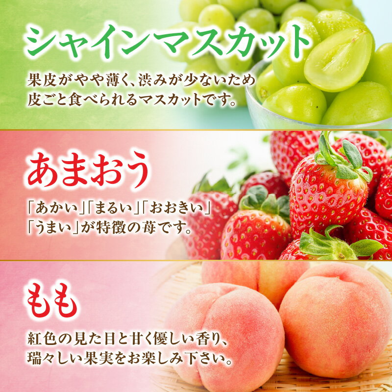【ふるさと納税】九州・福岡フルーツ王国八女　お楽しみ旬のフルーツ定期便【全3回】 F あまおう 苺 いちご イチゴ シャインマスカット ぶどう もも 桃 モモ 果物 くだもの フルーツ 定期便 デザート 旬 もぎたて 直送 福岡 八女市 サムネイル3