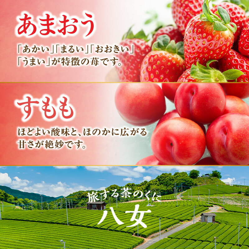 【ふるさと納税】九州・福岡フルーツ王国八女　お楽しみ旬のフルーツ定期便【全5回】B｜＜配送不可：北海道・沖縄・離島＞ いちご 苺 イチゴ あまおう すもも シャインマスカット みかん 蜜柑 オレンジ キウイ キウイフルーツ サムネイル3