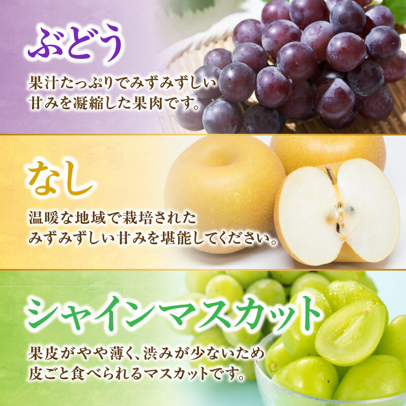 【ふるさと納税】九州・福岡フルーツ王国八女　お楽しみ旬のフルーツ定期便【全6回】A｜＜配送不可：北海道・沖縄・離島＞ いちご 苺 イチゴ あまおう 桃 もも モモ 葡萄 ぶどう 梨 シャインマスカット みかん 蜜柑 オレンジ サムネイル2