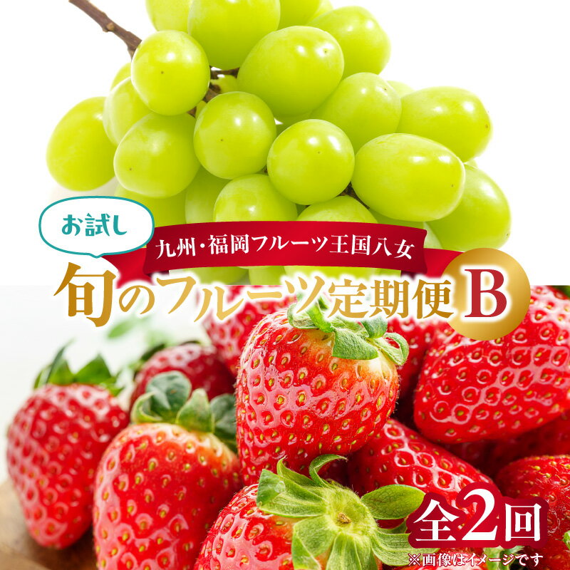 九州・福岡フルーツ王国八女　お試し旬のフルーツ定期便【全2回】 B　あまおう シャインマスカット いちご 苺 果物 先行予約