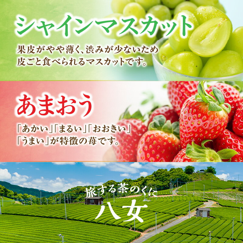 【ふるさと納税】九州・福岡フルーツ王国八女　お試し旬のフルーツ定期便【全2回】 B　あまおう シャインマスカット いちご 苺 果物 先行予約 サムネイル2