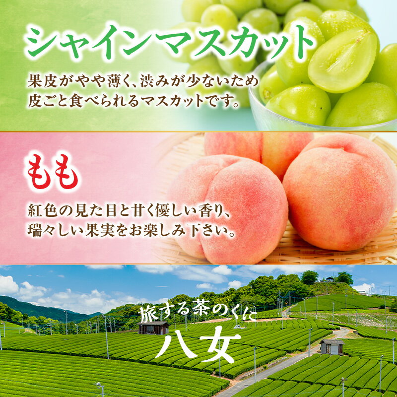 【ふるさと納税】九州・福岡フルーツ王国八女　お試し旬のフルーツ定期便【全2回】 F＜配送不可：北海道・沖縄・離島＞ 桃 シャインマスカット もも 果物 先行予約 旬のフルーツ 詰め合わせ 福岡県 お取り寄せ 八女市 サムネイル3