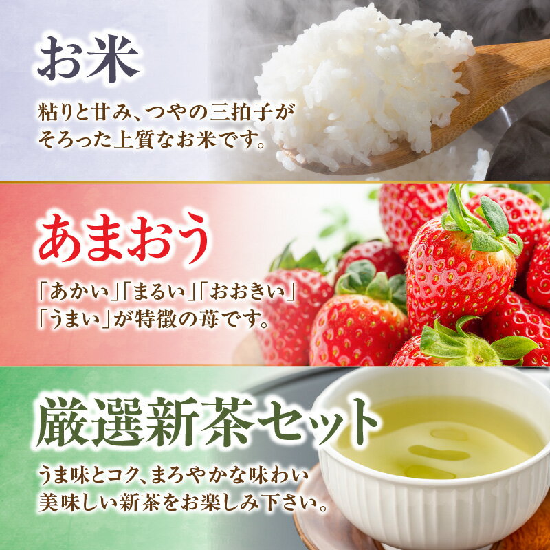 【ふるさと納税】九州・福岡からお届け！八女の恵み定期便【全5回】 A 米 お米 いちご あまおう 新茶 お茶 茶 日本茶 みかん ミカン 蜜柑 キウイ フルーツ 旬 デザート 産地直送 サムネイル2